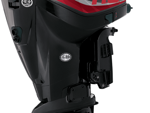 EVINRUDE エヴィンルード E-TEC 250HO 色っぽかっ
