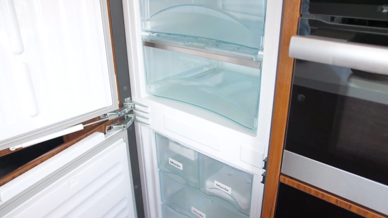 Refrigerator freezer