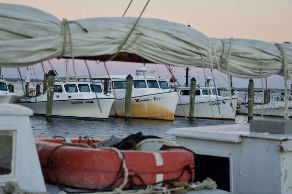 Island Hopping the Eastern Shore’s Barrier Isles