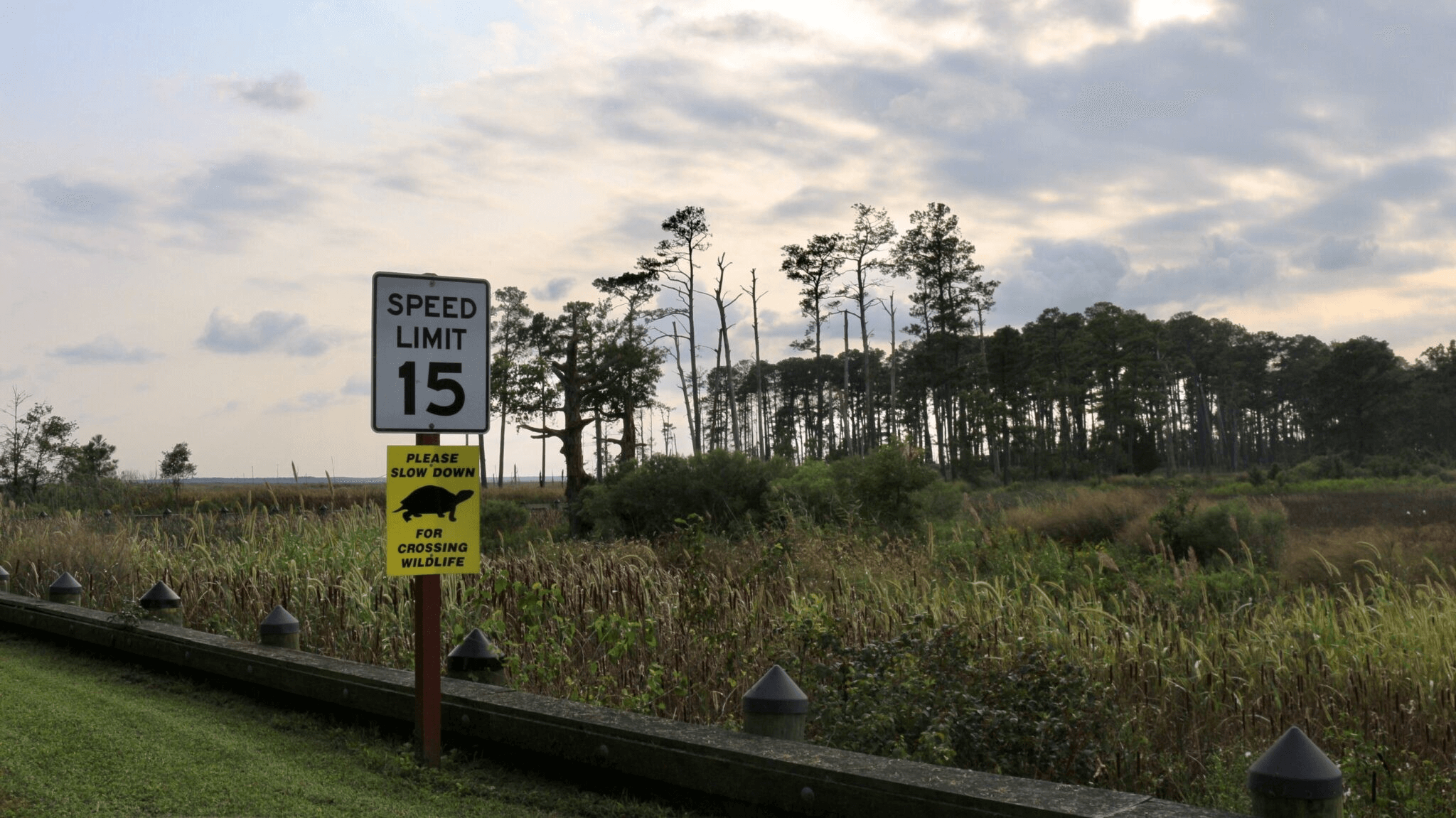 Blackwater National Wildlife Refuge