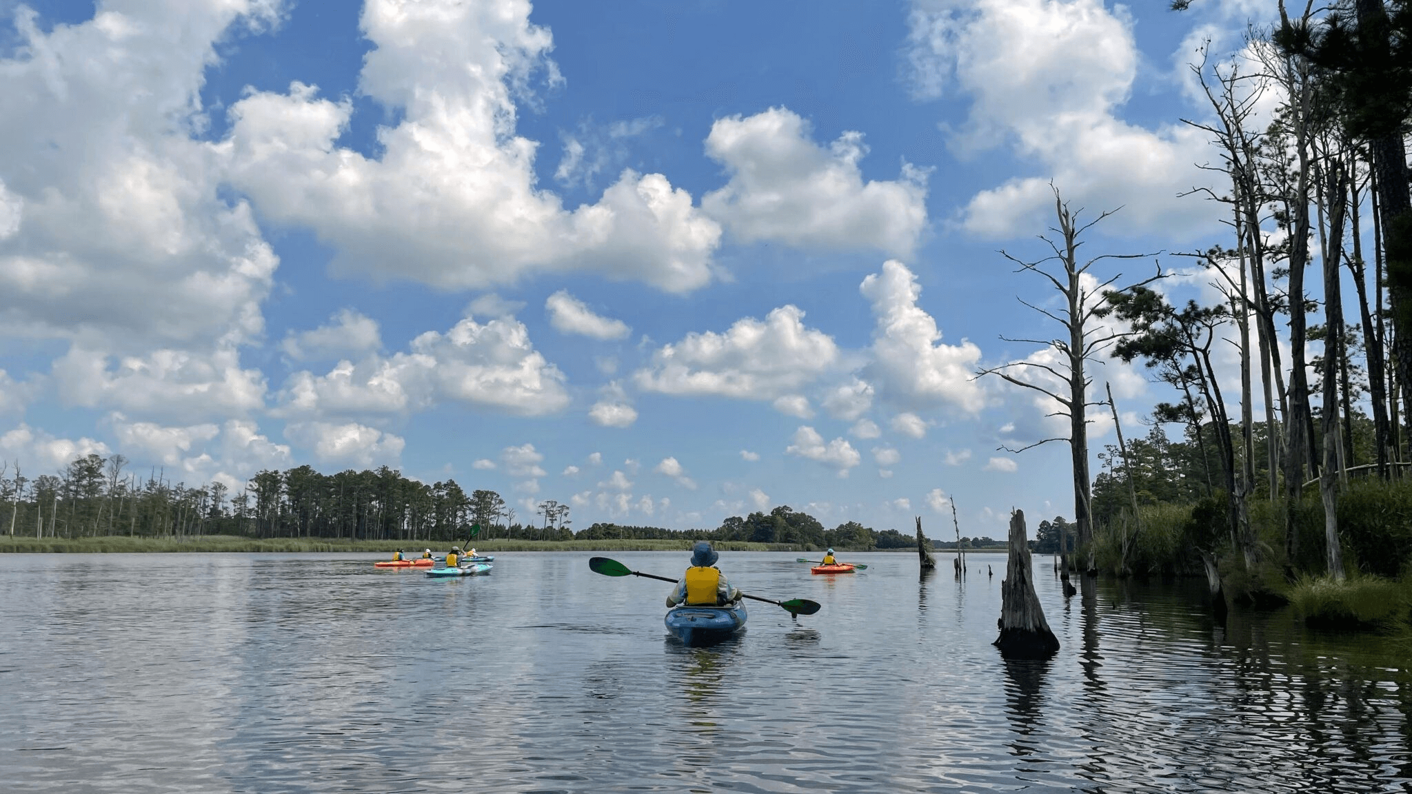 Paddlesports are a great way to experience Blackwater