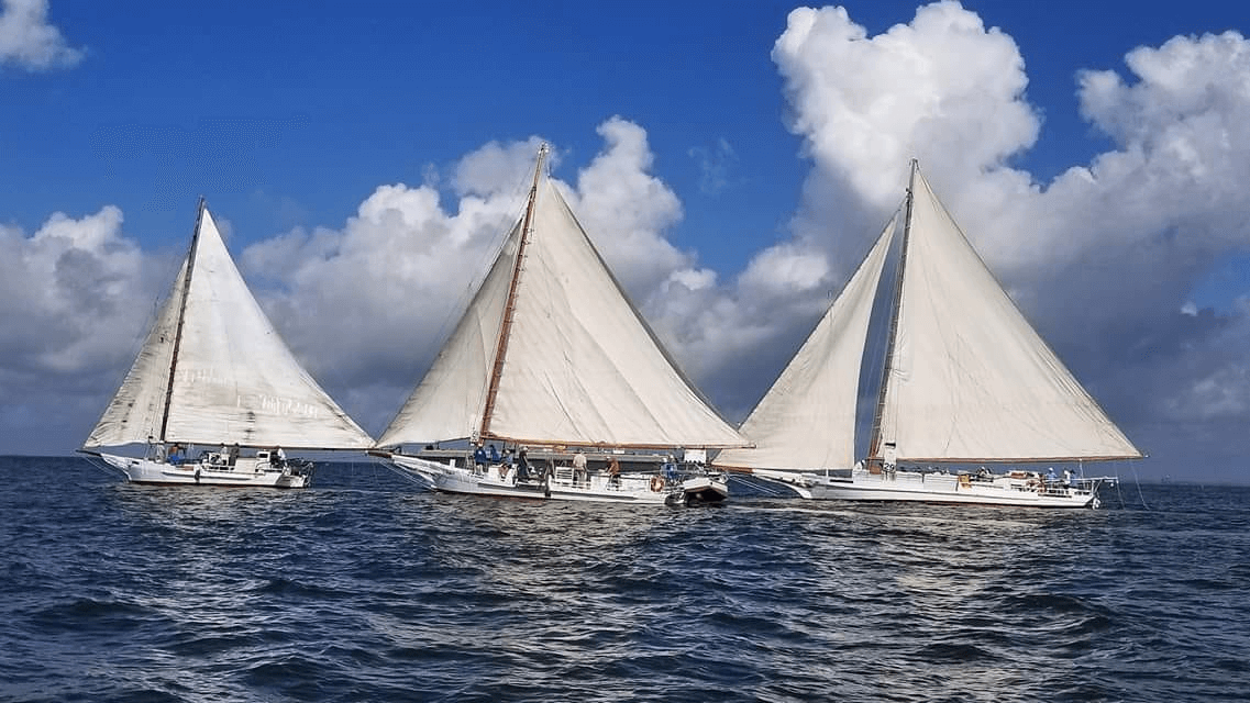 Deal Island skipjack races