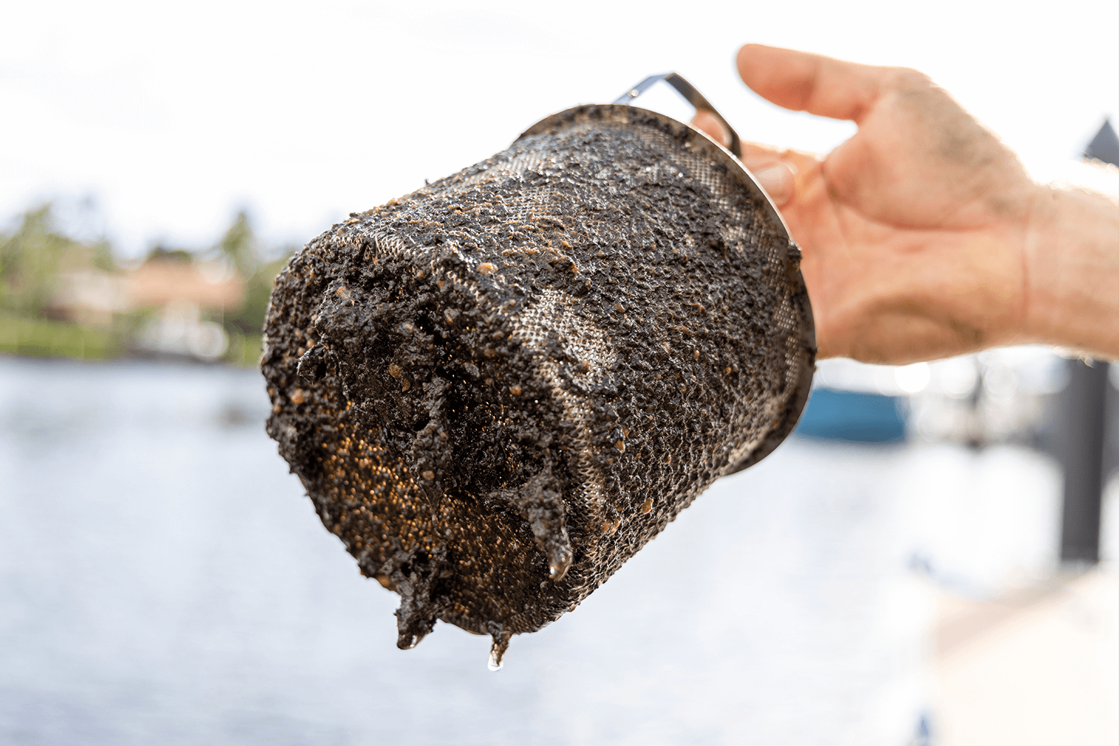 ElectroSea dirty strainer