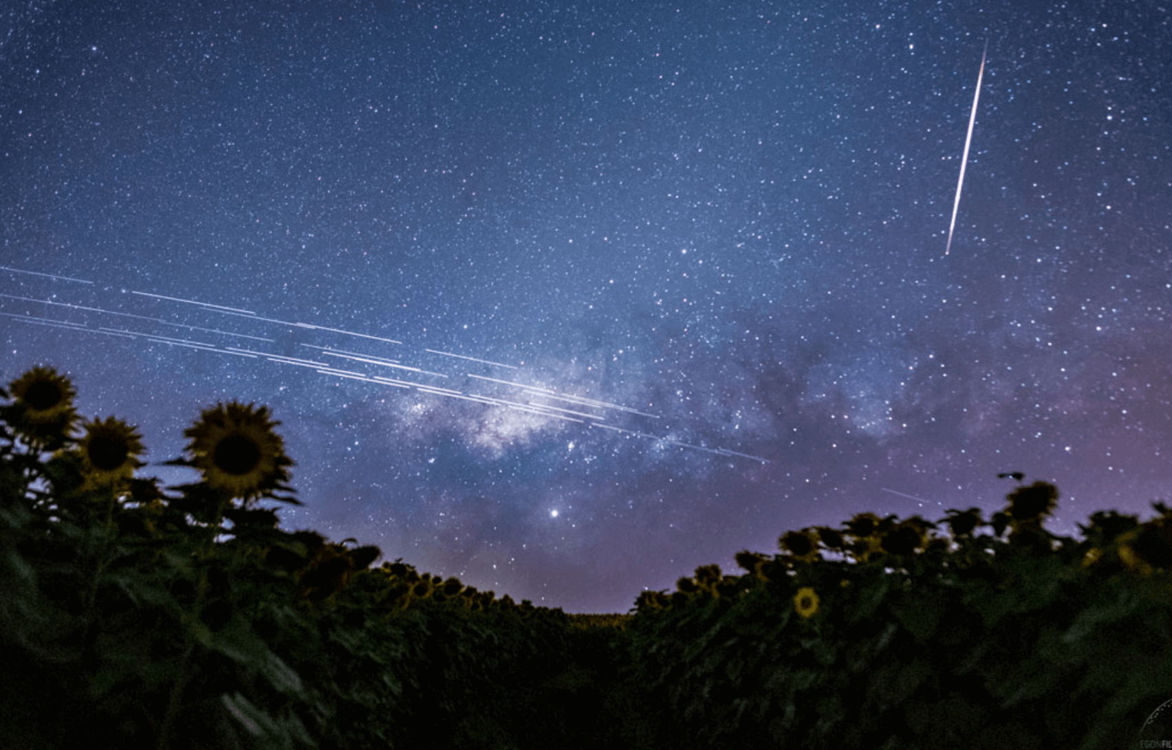 Elon Musk's Starlink for Boats