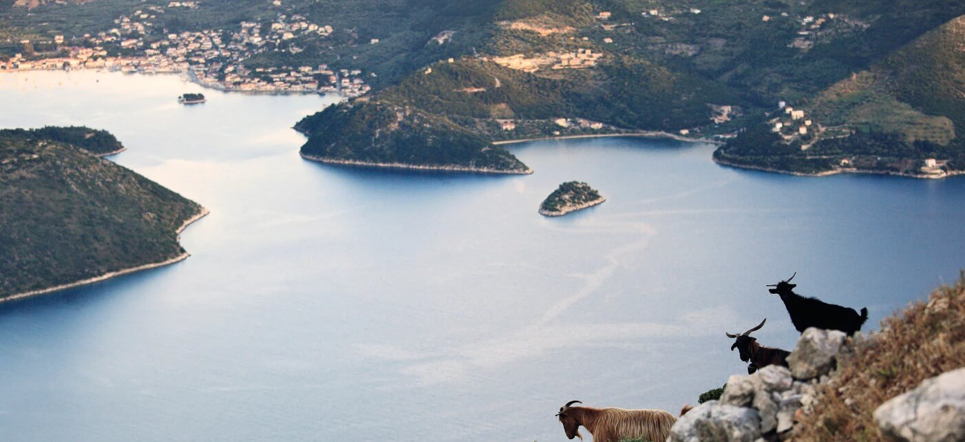 View of Ithaca with wild goats atop