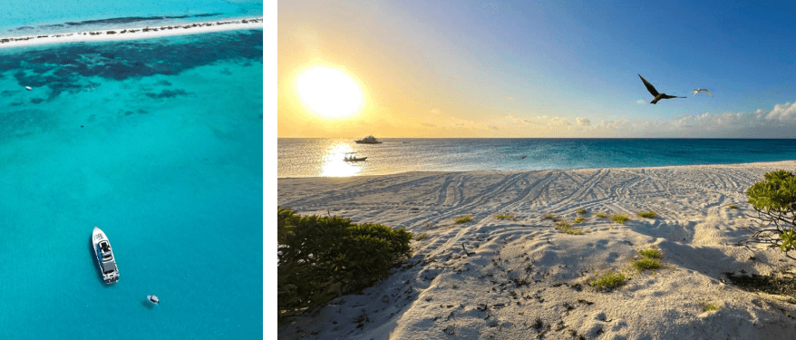 A thin strip of sand is home to a variety of sea birds