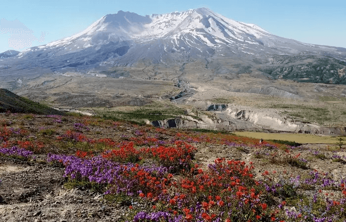 Mount St. Helens