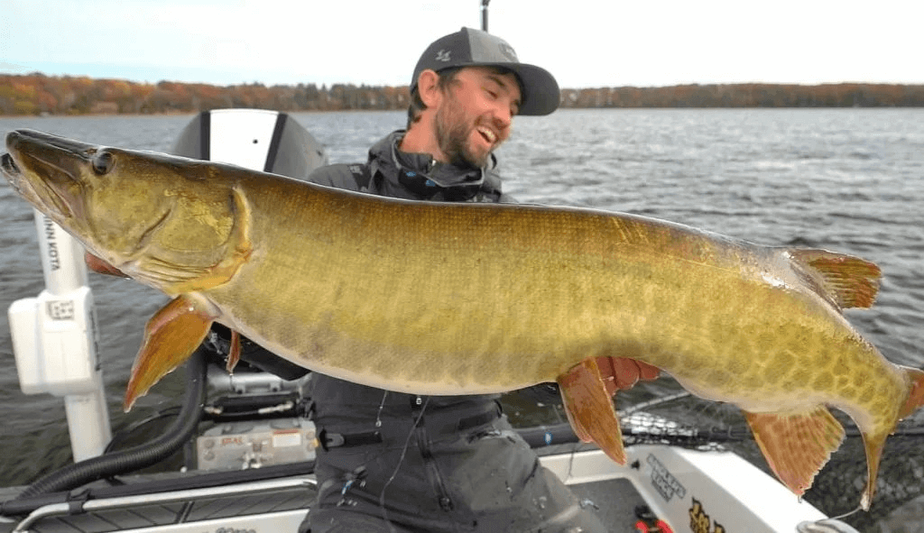 Fishing for Muskie