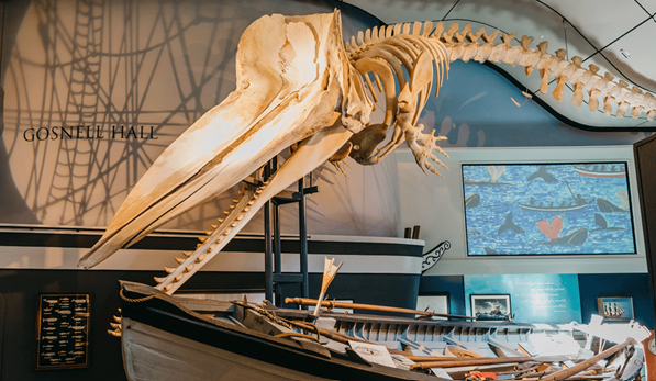 Nantucket Whaling Museum