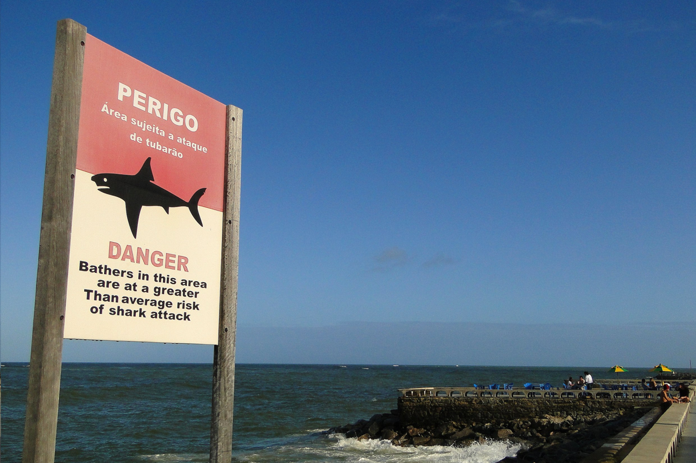 Shark danger sign