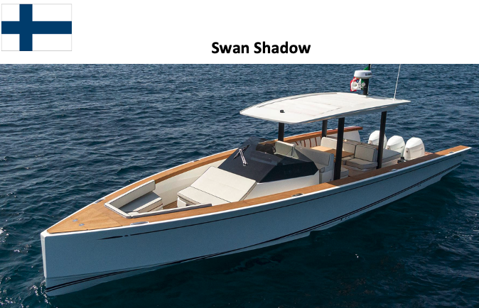 Swan Shadow