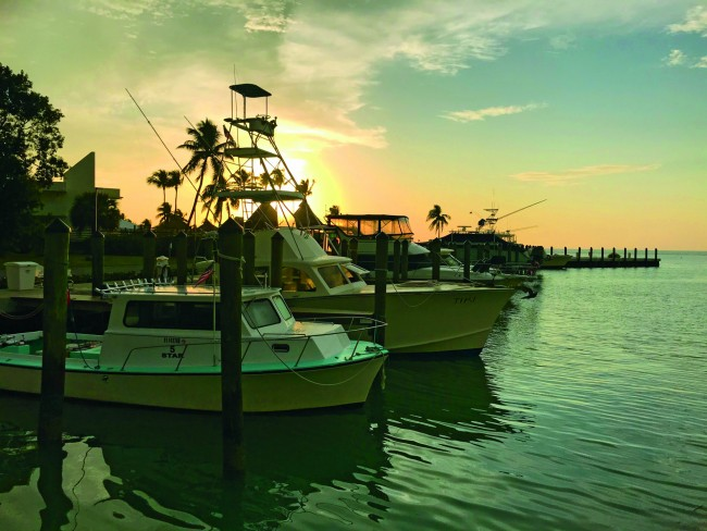 Boats docked in the Florida Keys