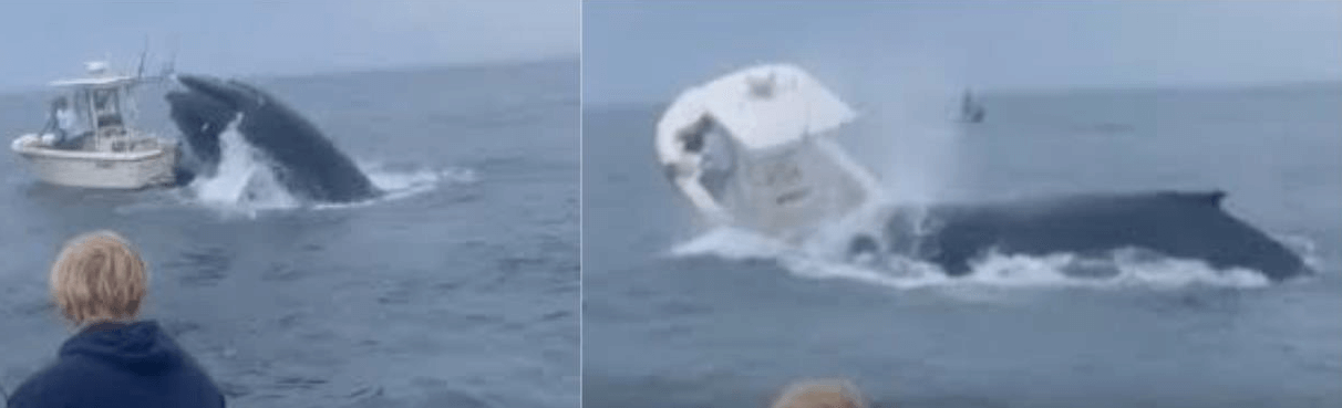 Accidents of the week, Boat Fire, Grounding, USCG, Drowinings, Rescue Efforts