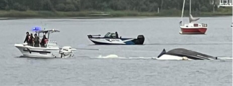 Boat Overturned, Lake Michigan
