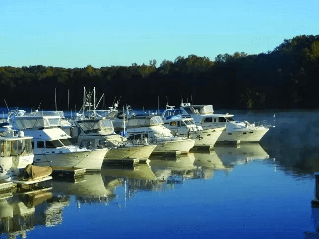 Boats in a row on the water