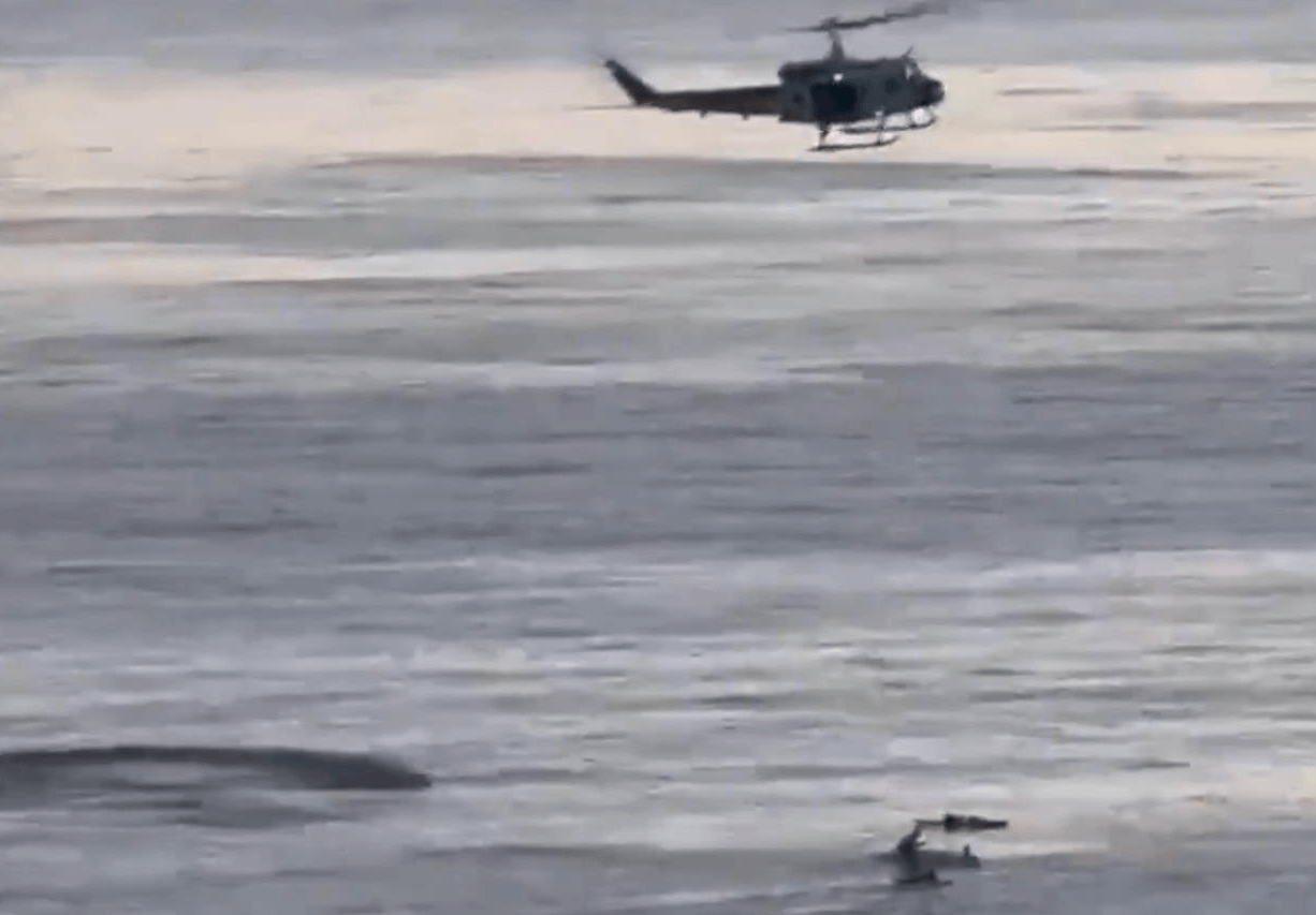 Accidents of the week, Boat Fire, Grounding, USCG, Drownings, Rescue Efforts