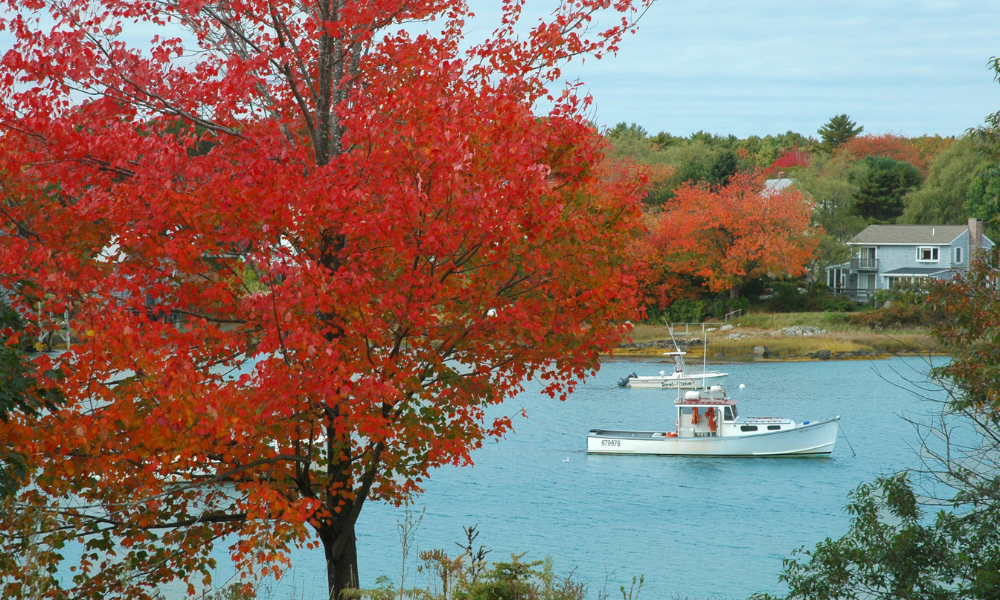 Fall Boating, Off-Season, Marina Life, Boating Lifestyle