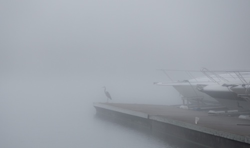 Foggy conditions at the dock