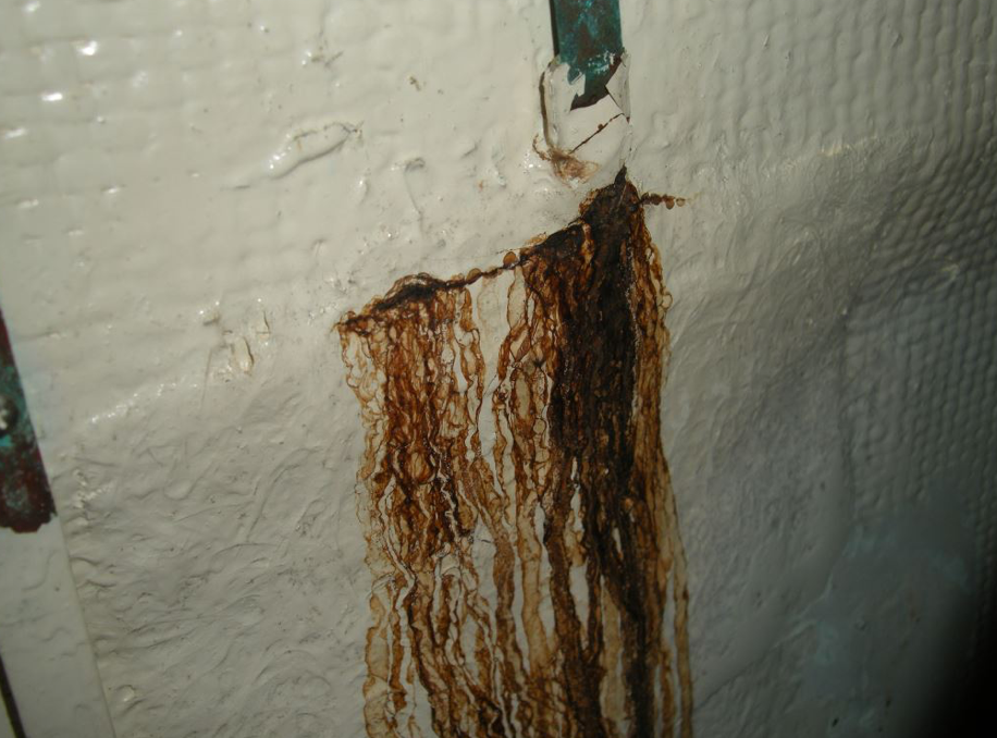 water damage to laminate, brown staining on fiberglass