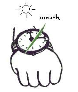 drawing of a wristwatch, using a watch to correct a compass