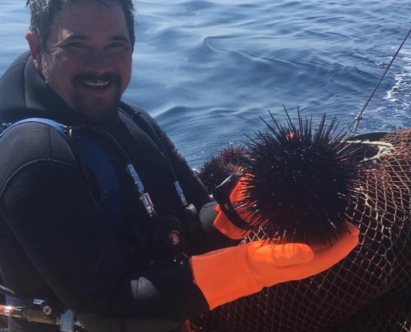 sea urchin, urchin fishing, Scott Thompson