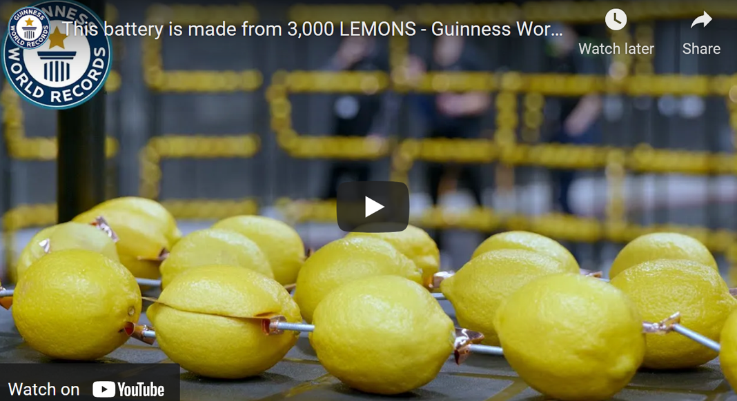 lemon battery, world's largest lemon battery, Guinness lemon battery