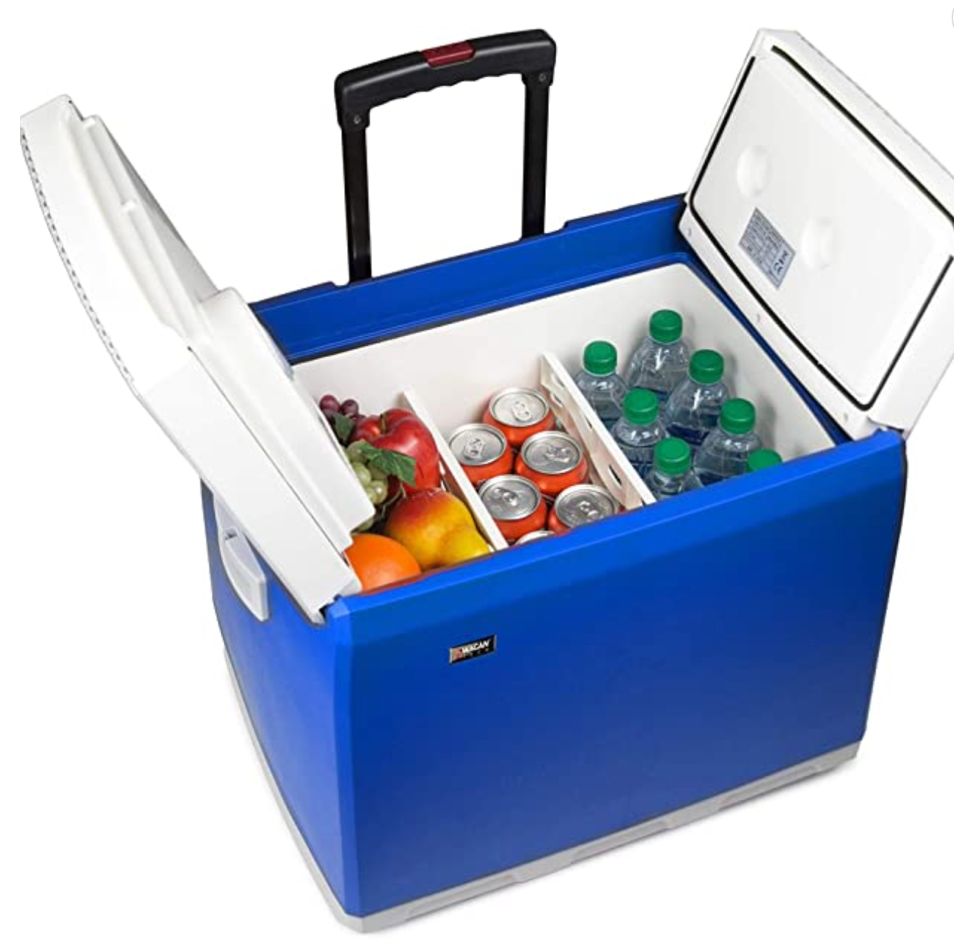 portable cooler, Thermo-electric cooler