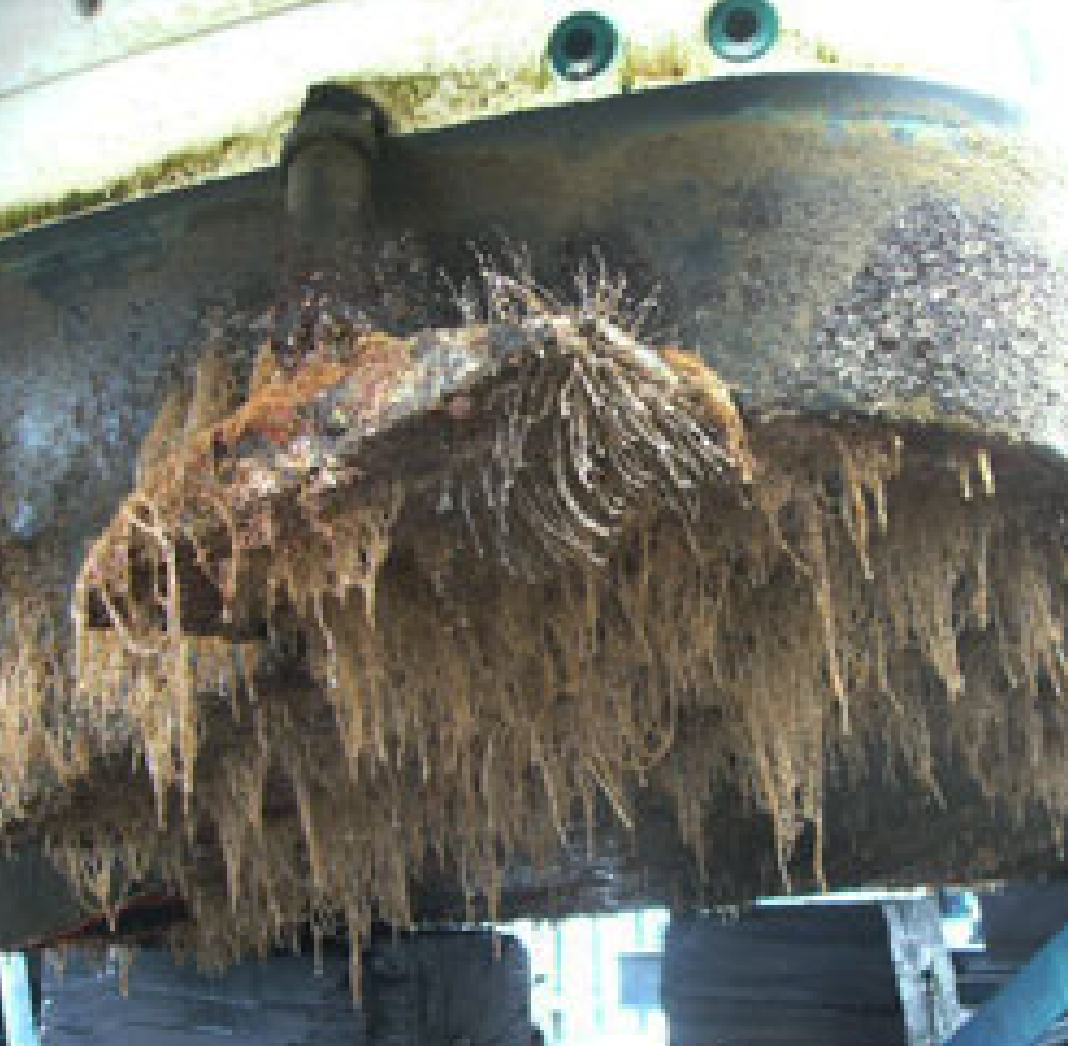barnacles and marine growth on trim tabs, 