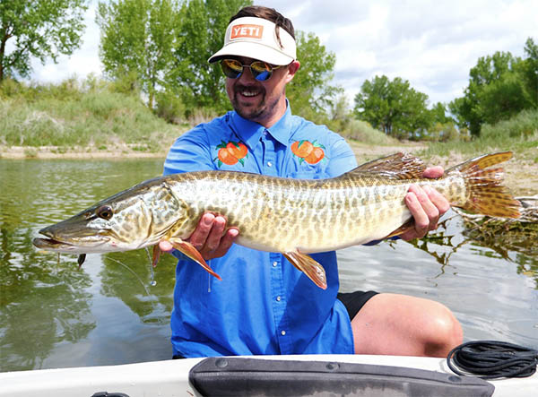 record muskey, record muskellenge