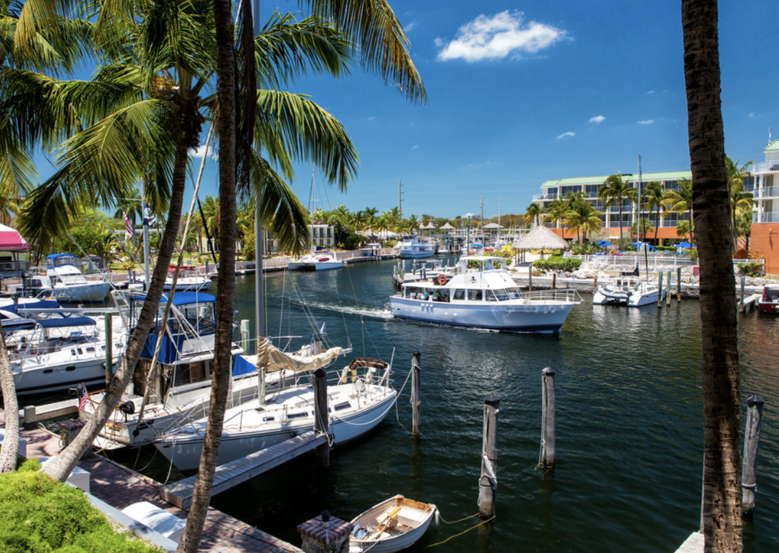 Florida Keys, Key West, Key Largo, Traveling, Island Hopping, Marina Life