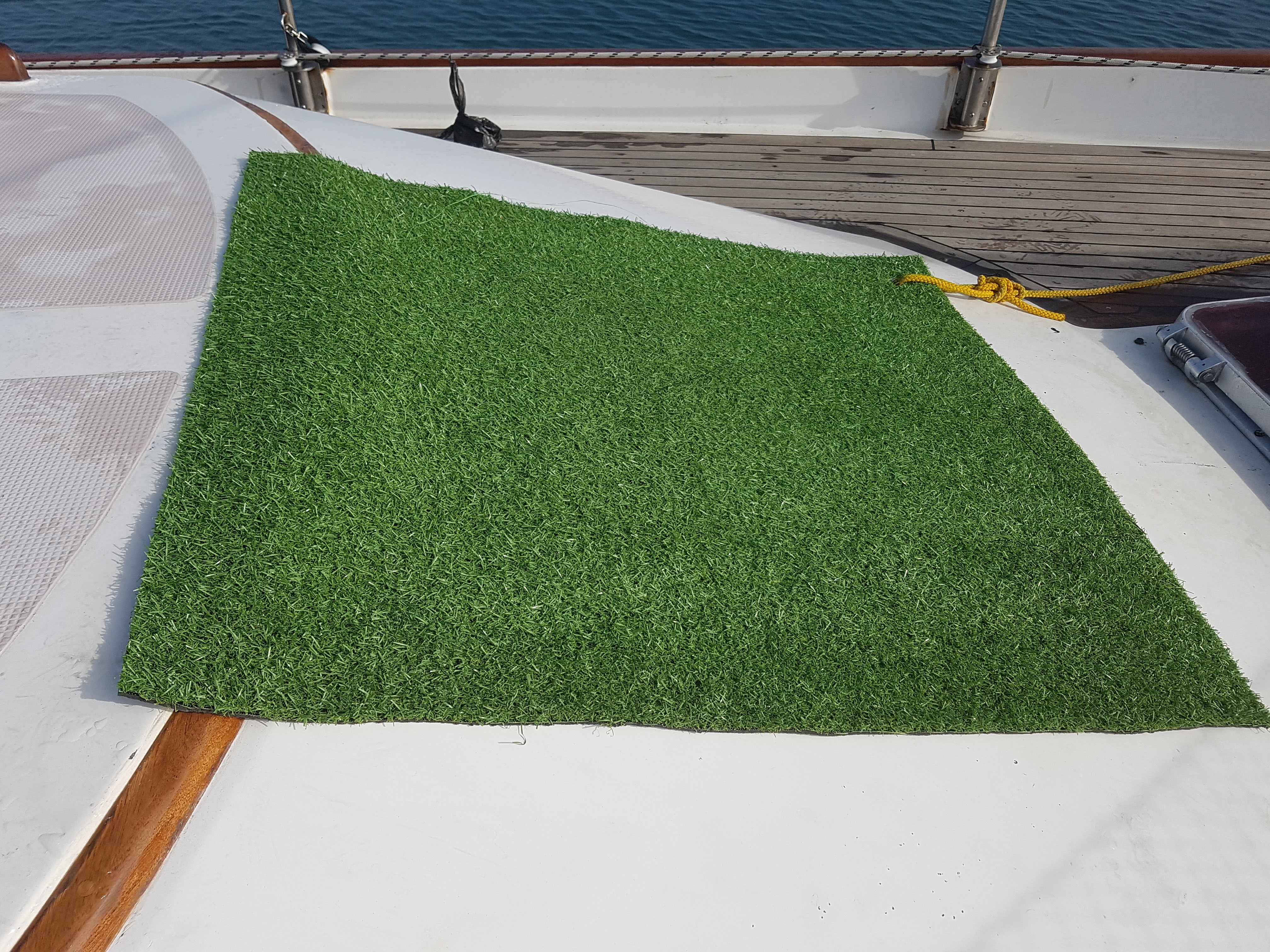 astroturf, dogs, boat