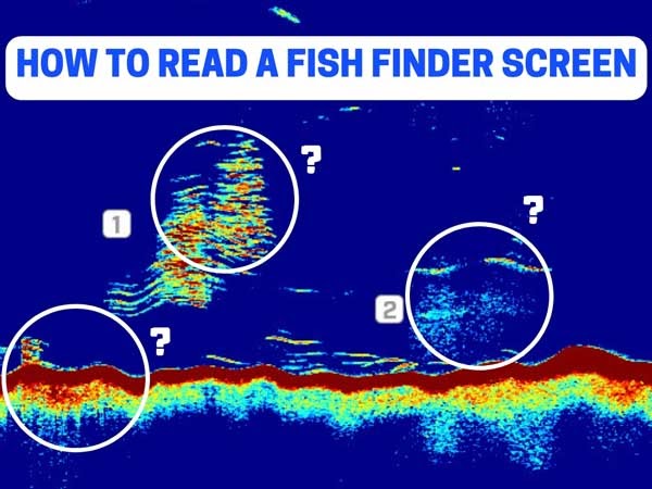 how to read a fishfinder
