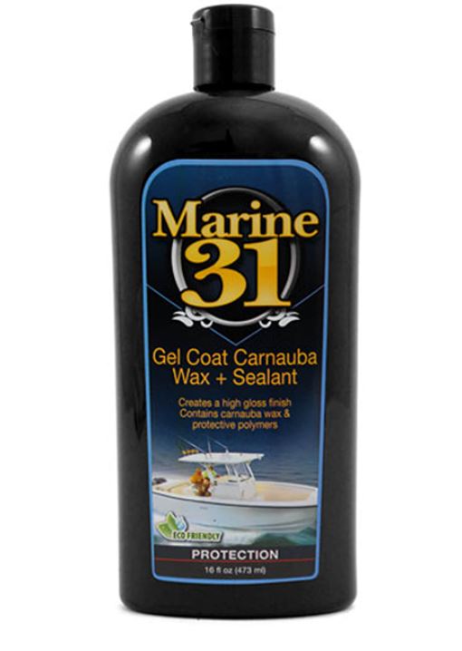 Marine 31