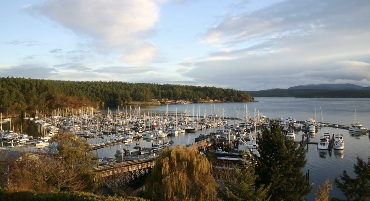 Cruising Destinations, Pacific Northwest, Washington State, Marina Life