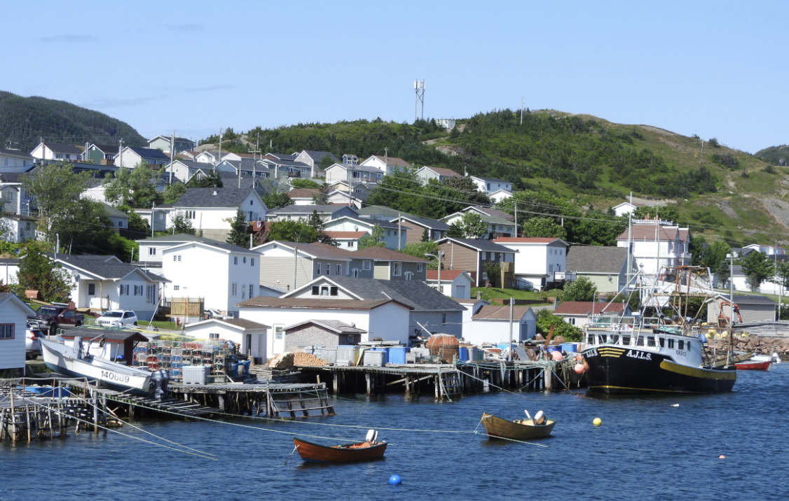Newfoundland, Canada, North Atlantic, St.Pierre, Cruising Destinations, Marina Life