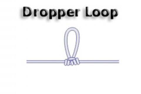 Dropper loop graphic