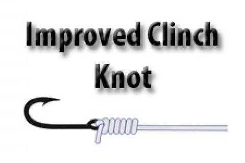 Improved clinch knot