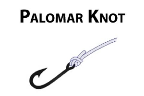Palomar knot graphic