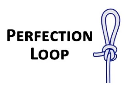 Perfection loop graphic