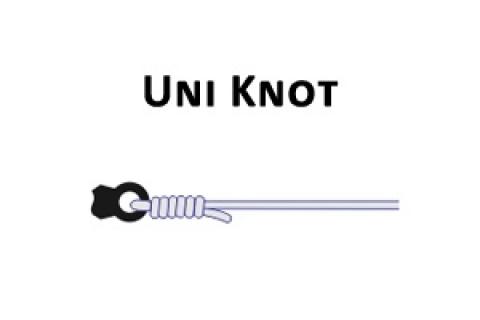 Uni Knot graphic