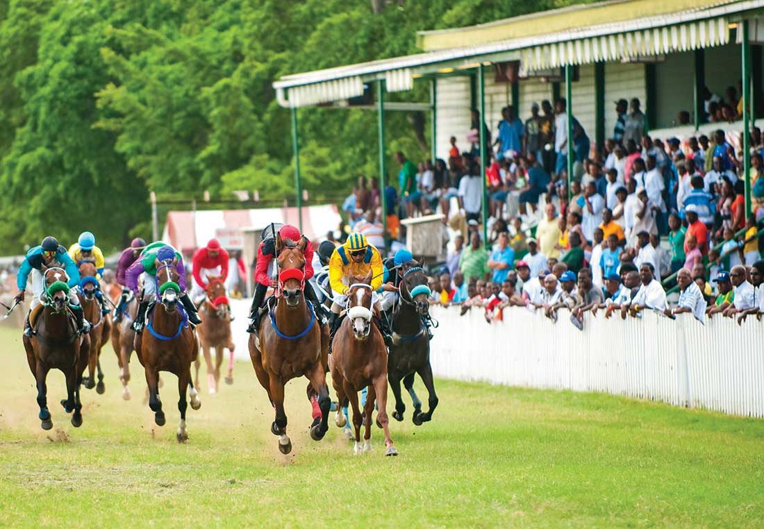 Horse races are held at the Barbados Turf Club on the old grounds of Garrison Savannah, where the British Caribbean Force was once billeted.