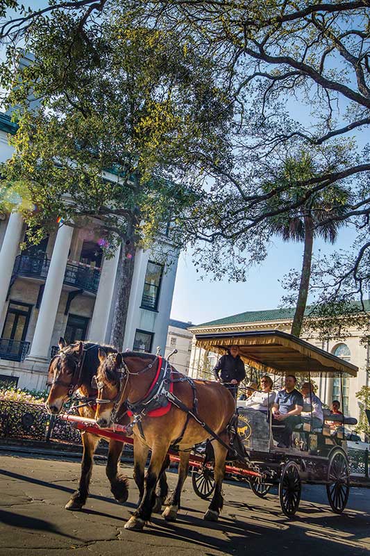 Savannah, horse drawn carriages