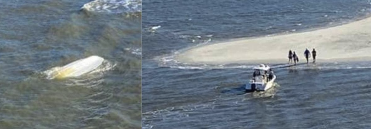 Accidents, Boat Wrecks, MOB, Crew Save, USCG, Sailors Stranded, Left at Sea