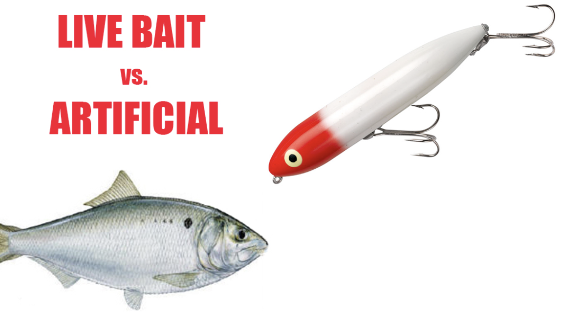 Catching Live Bait: Tips from the Pros