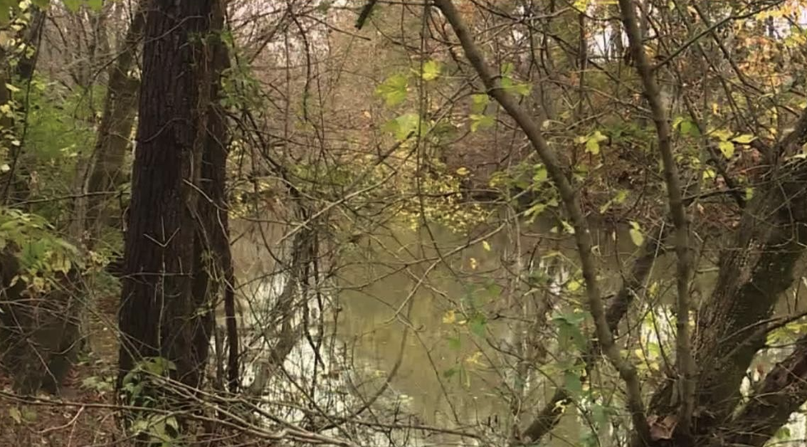 Accidents, Boat Wrecks, MOB, Crew Save, USCG, Sailors Stranded, Left at Sea