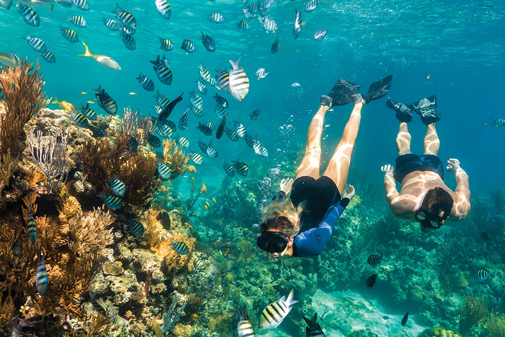 Diving, Bahamas, Spearfishing, Water sports, Fun