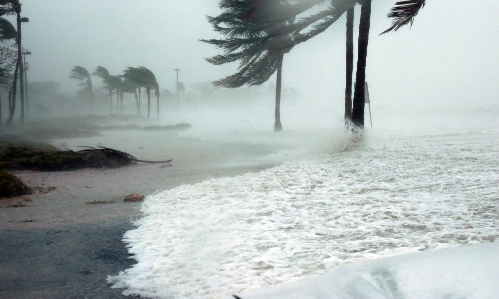Hurricane conditions on the shoreline
