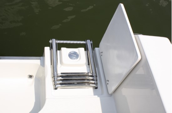 12 Important Features in a Center Console ladder