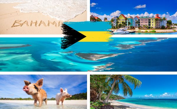 Compilation of Bahamas images including the Stanel Cay Pigs