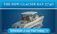 Glacier Bay 2740